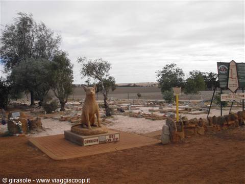 Cimitero dei cani
