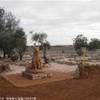 Cimitero dei cani AUSTRALIA 