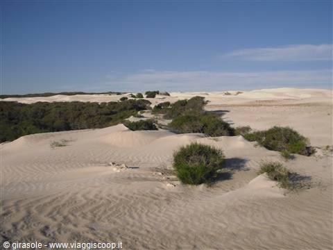 Nambung National park