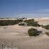 Nambung National park AUSTRALIA 