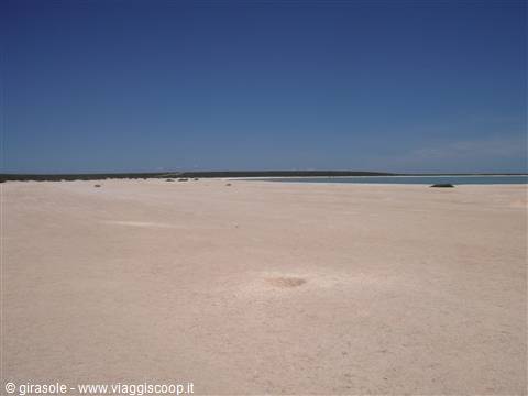 Shell Beach