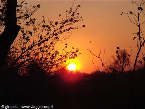 alba nel delta dell'Okawango