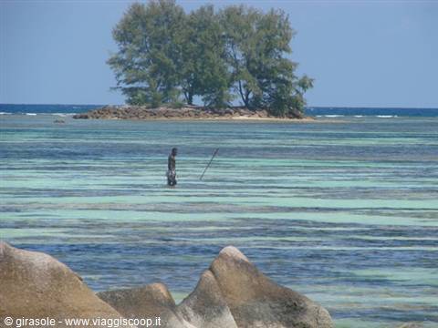 Pescatori di polipi - La Digue