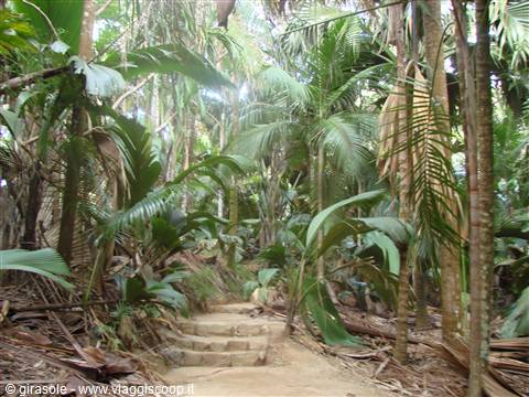 vallee de Mai
