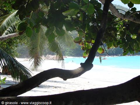 Anse Lazio