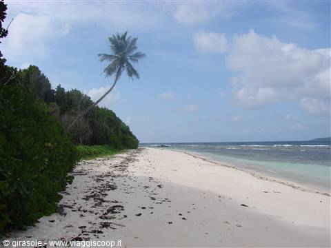 la digue