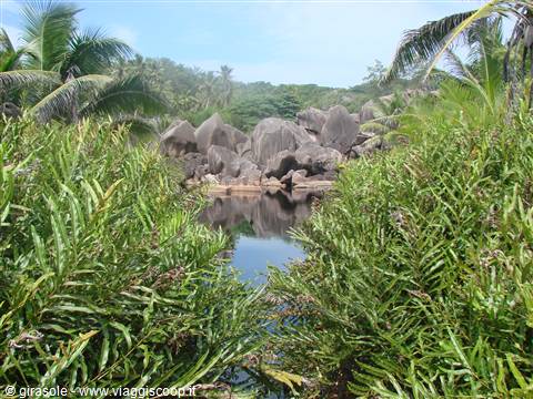 la digue