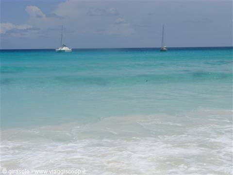anse coco