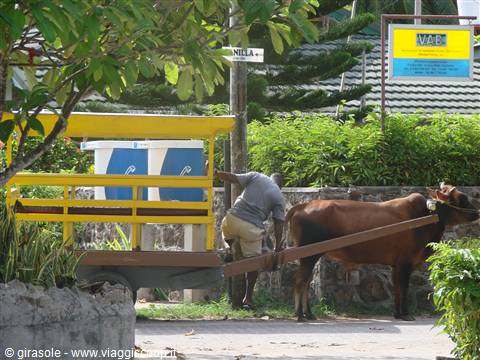 un taxi a la digue