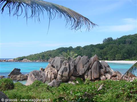 anse coco