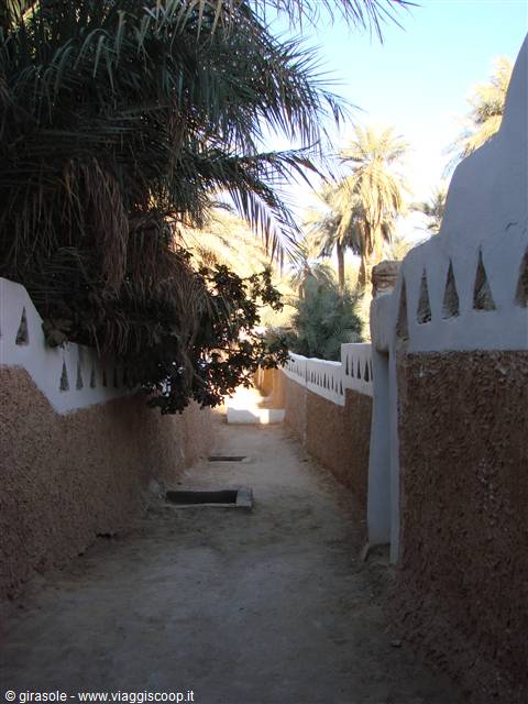 Ghadames - giardini