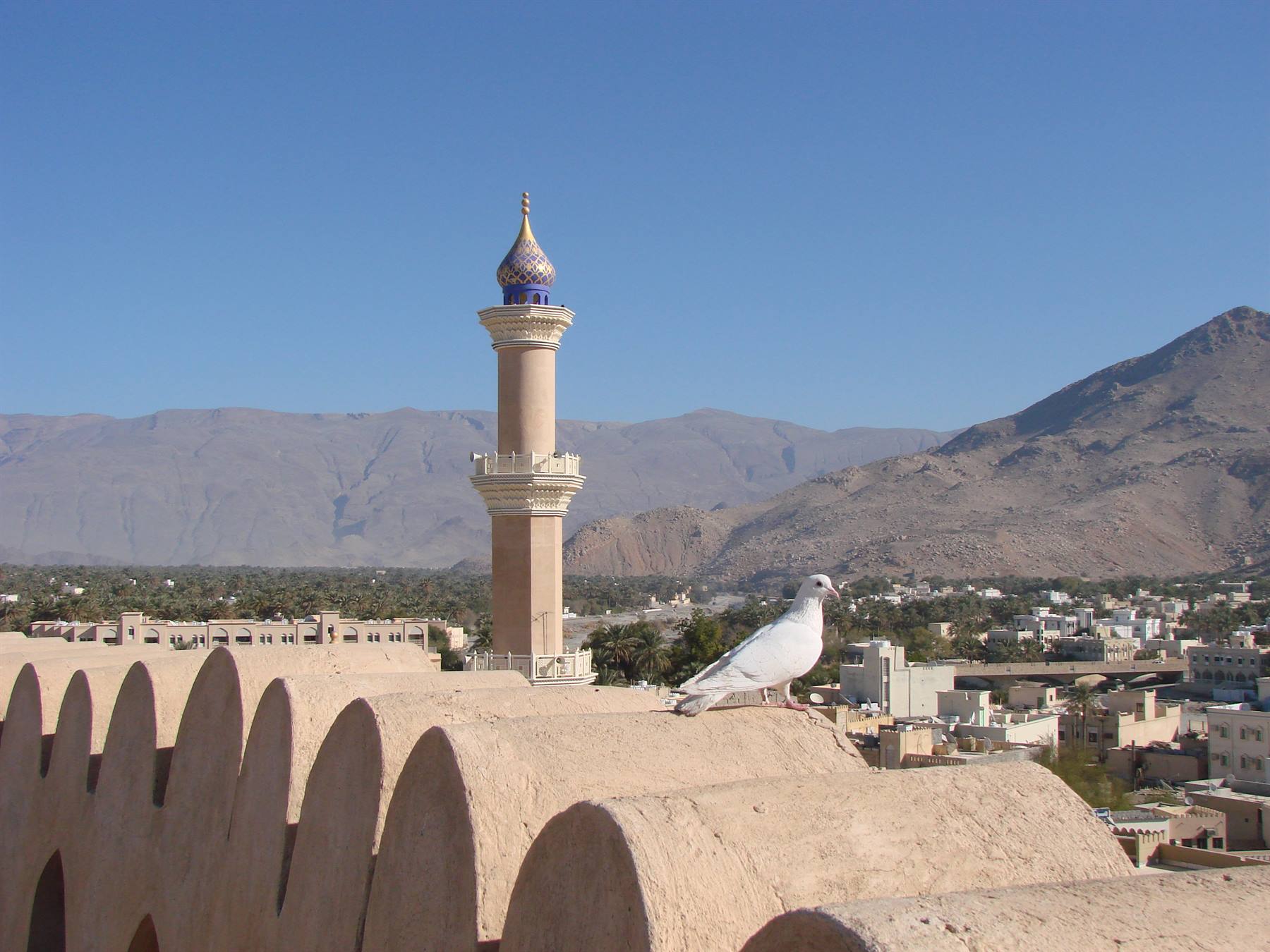 Foto di viaggio in OMAN