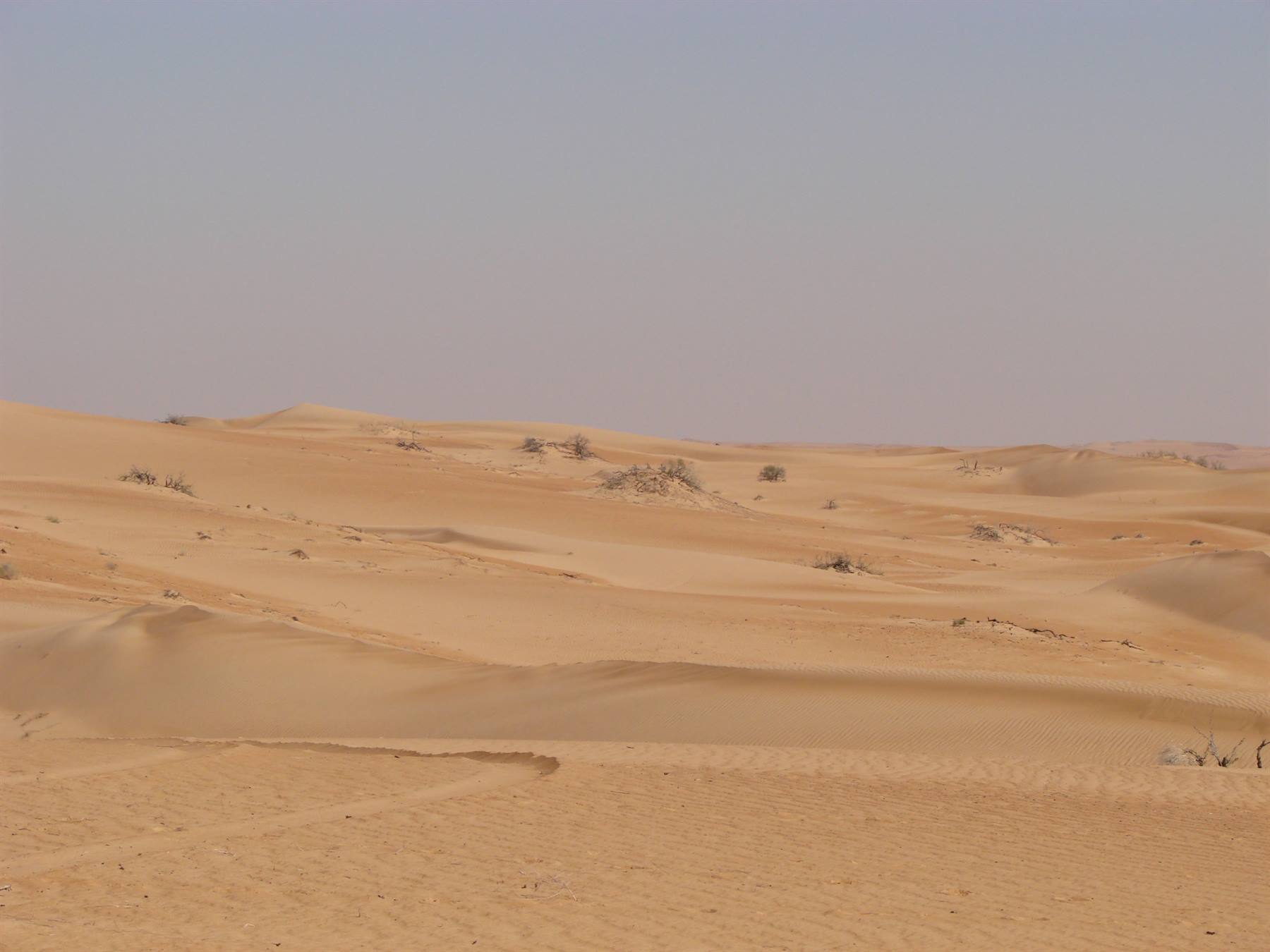 Foto di viaggio in OMAN