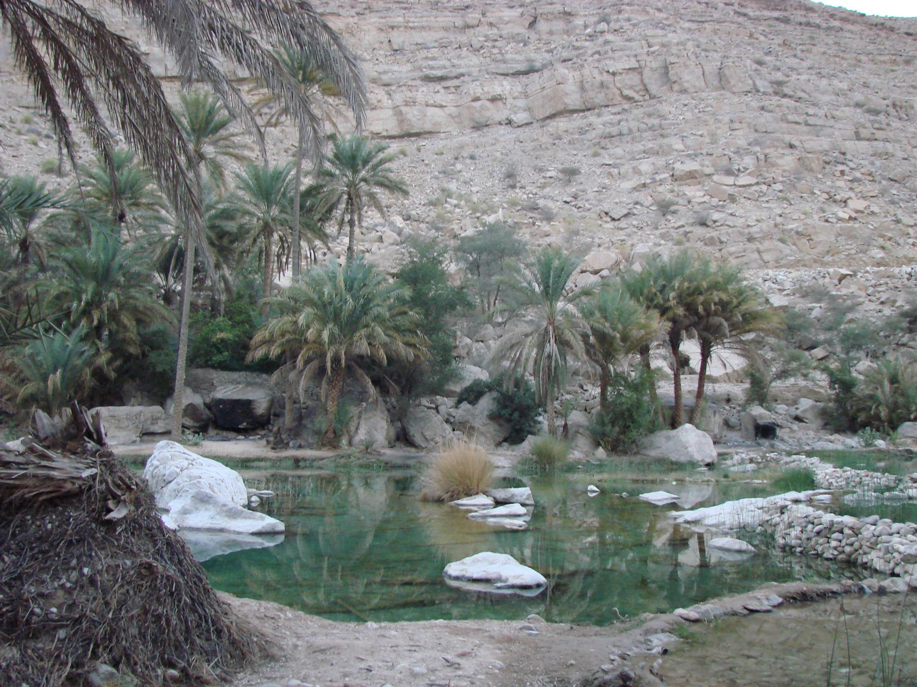 Foto di viaggio in OMAN