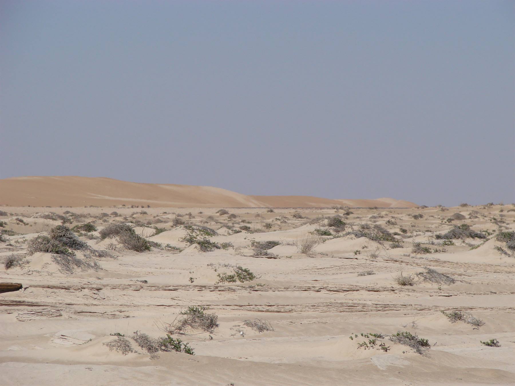 Foto di viaggio in OMAN
