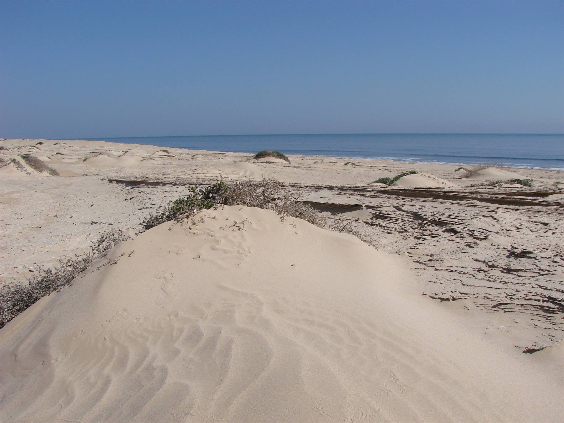 Foto di viaggio in OMAN