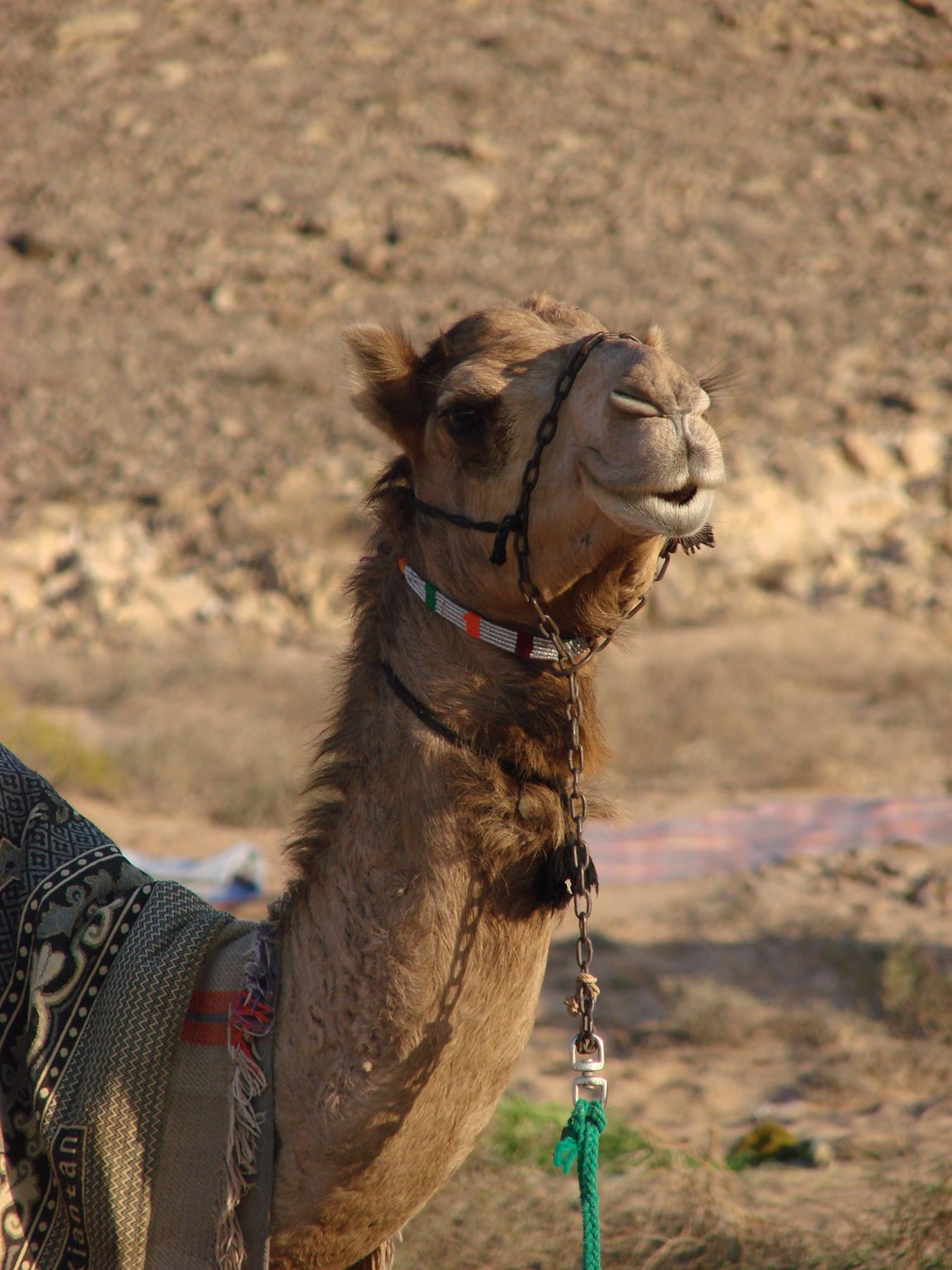 Foto di viaggio in OMAN
