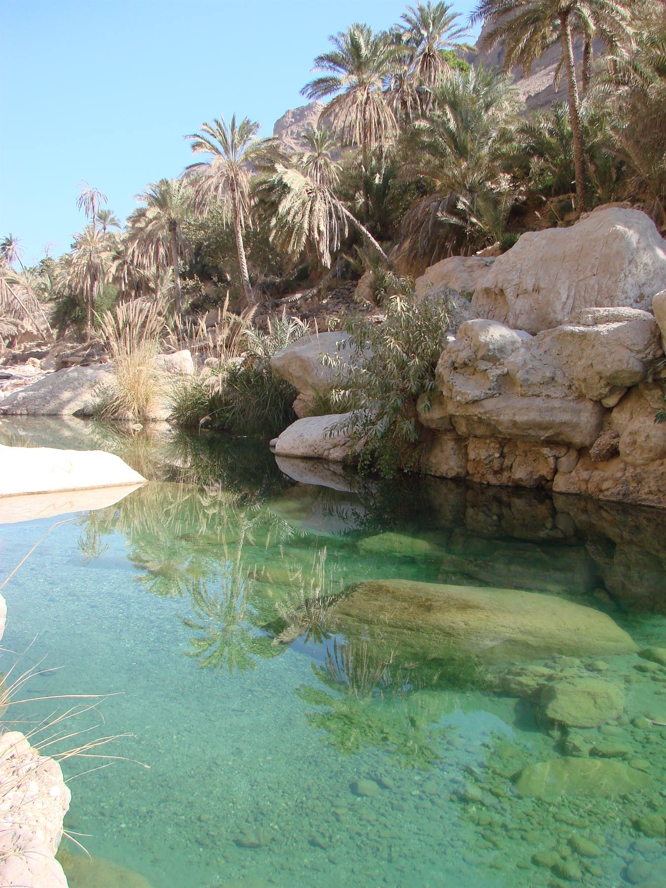 Foto di viaggio in OMAN
