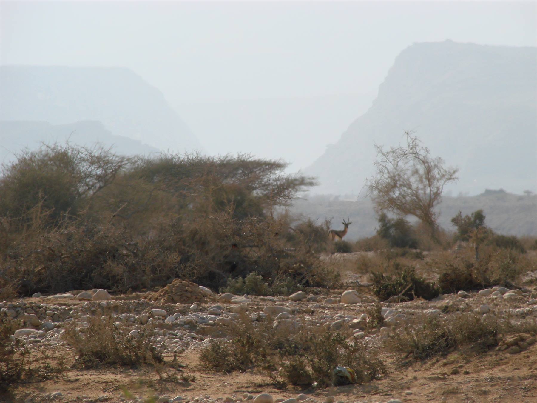 Foto di viaggio in OMAN