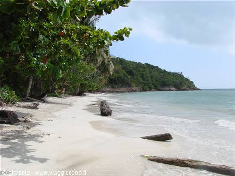 playa Manzanillo
