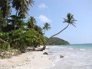 playa manzanillo