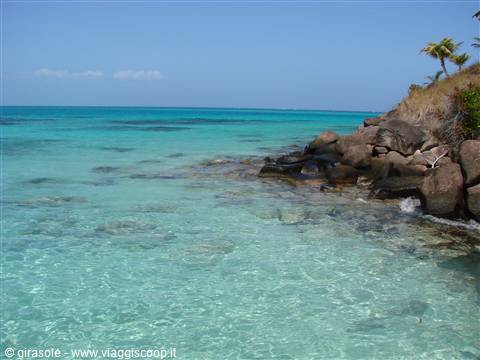 cayo cangreyo
