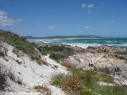 pearly beach