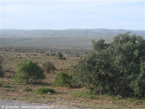 Addo Elephant National Park