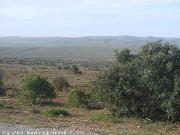 Addo Elephant National Park