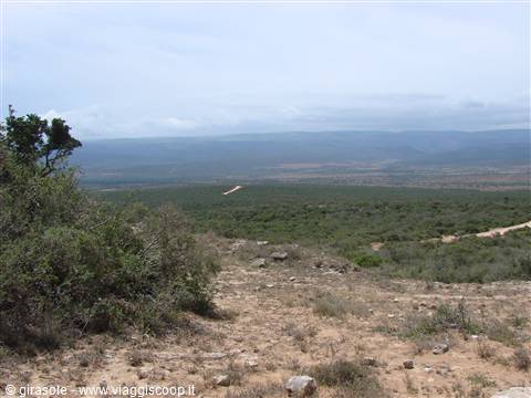 Addo Elephant Park
