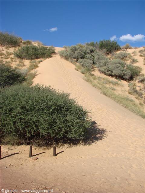 Witsand reserve