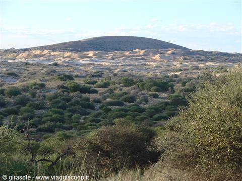 Witsand reserve