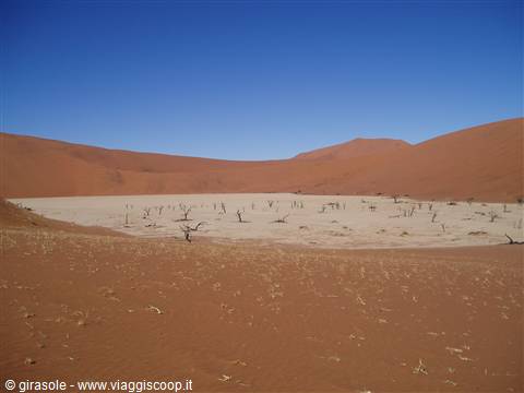 deadvlei