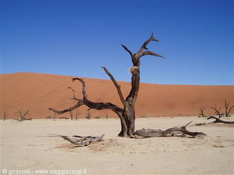 Deadvlei