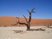 Deadvlei