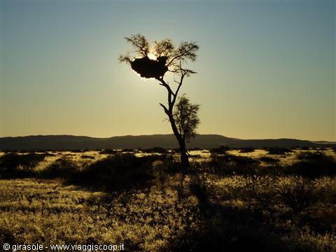 Tramonto a Weltwrede