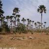 foto viaggio SENEGAL