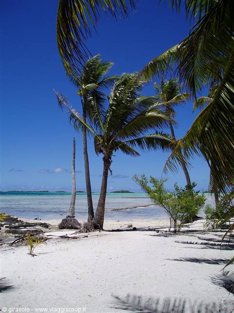 motu sulla laguna blu di Rangiroa