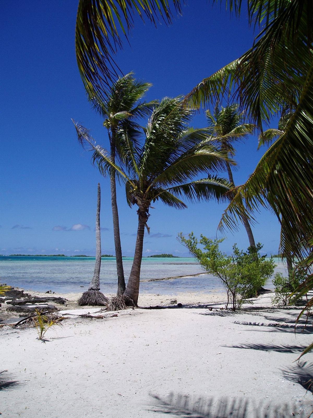 motu sulla laguna blu di Rangiroa