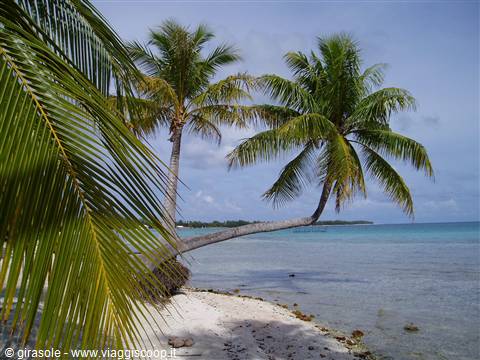 spiaggia di Tikehau