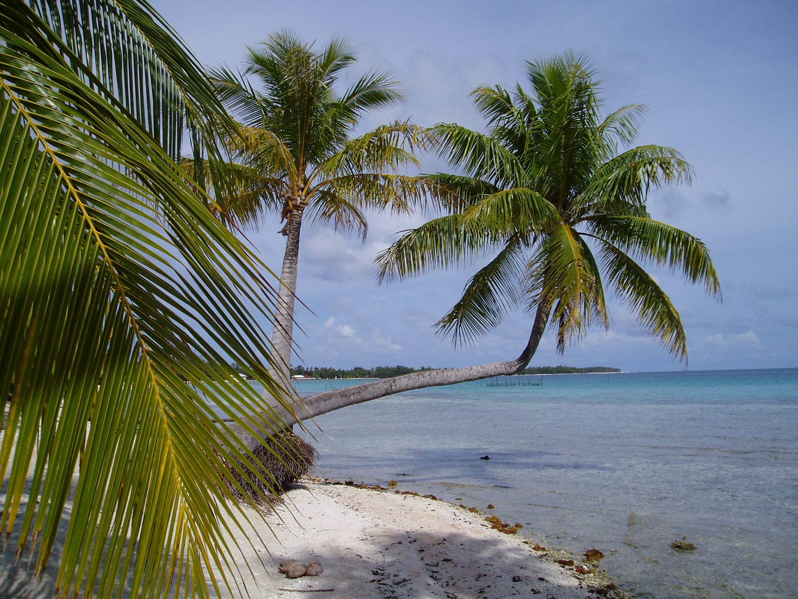 spiaggia di Tikehau
