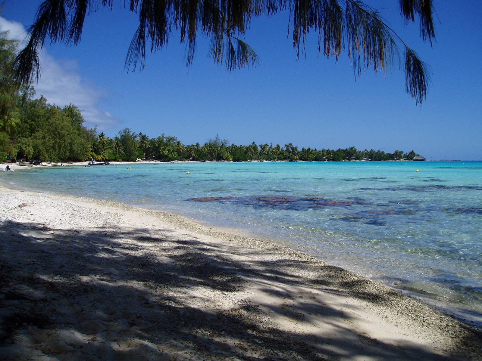rangiroa spiaggia vicino al kia ora