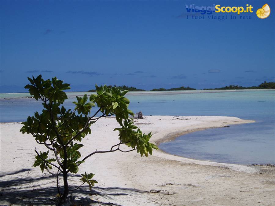 laguna blu
