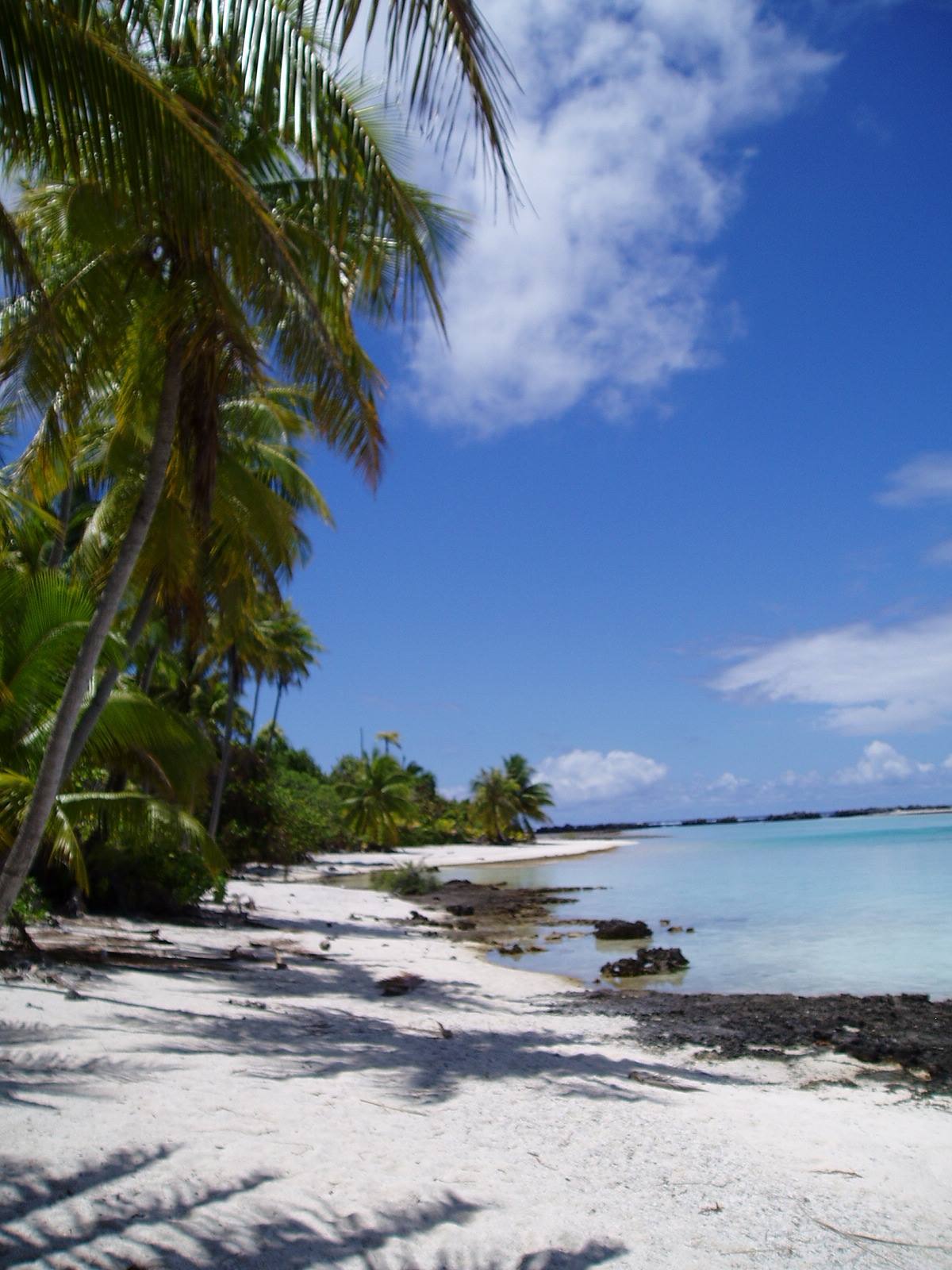 rangiroa - escursione
