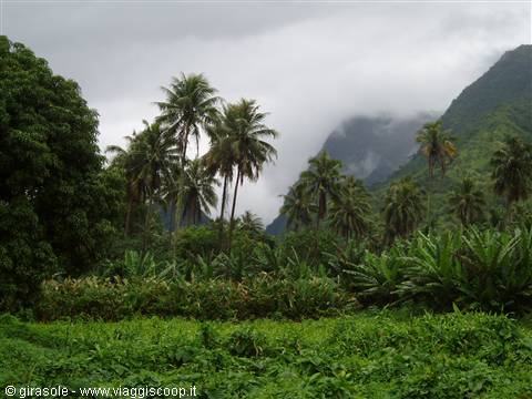 Tahiti