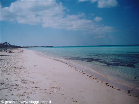 Cayo Coco