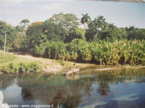 verso Baracoa...
