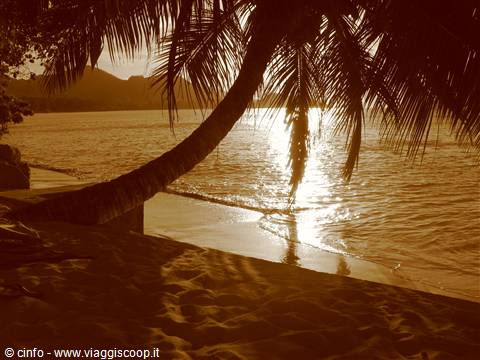Praslin - Anse Gouvernment