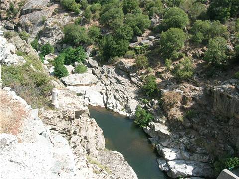 montagna vs corte