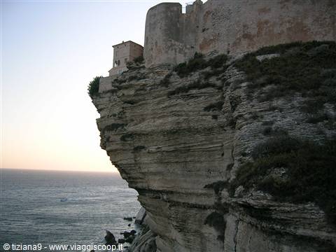 bonifacio